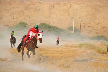کورس اسب دوانی شهرستان میناب