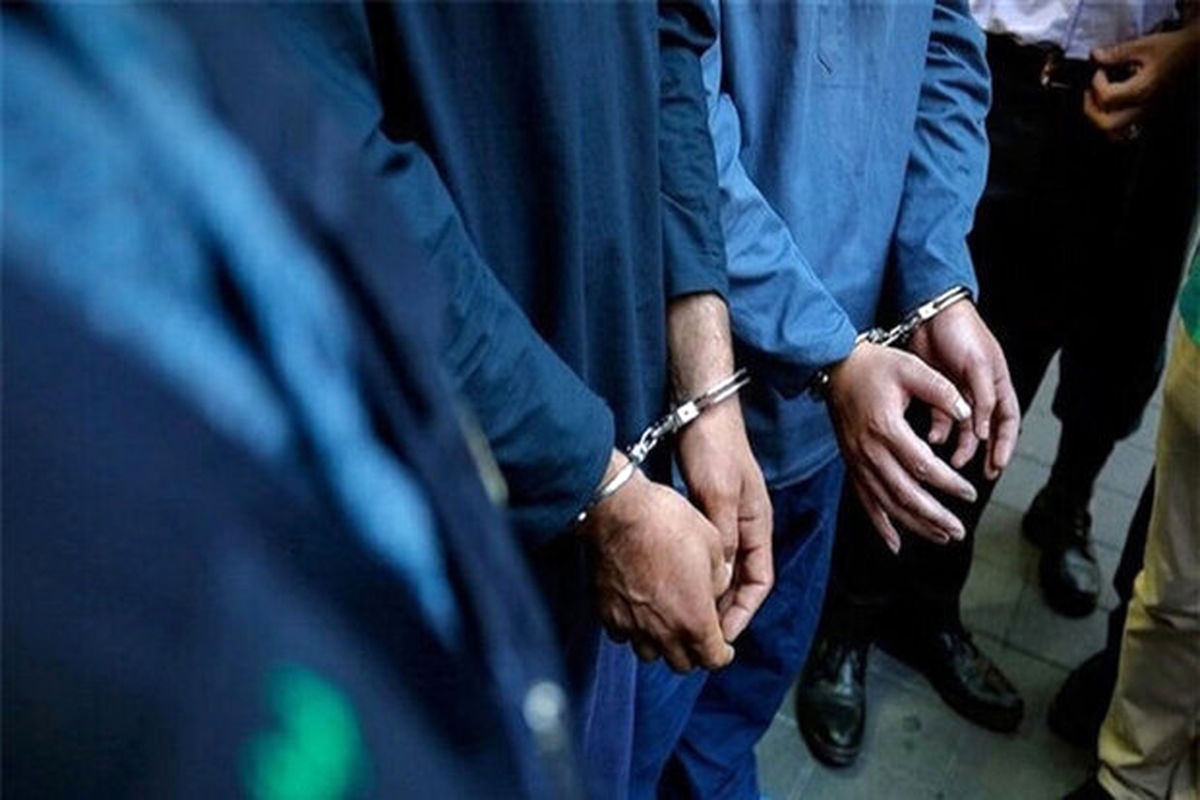 ۲۲۰ نفر از اتباع بیگانه غیرمجاز در قشم دستگیر شدند