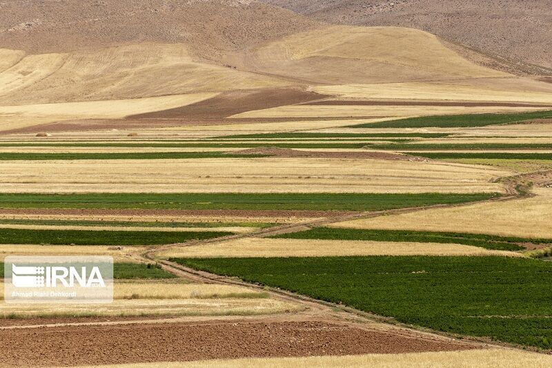 ۷۸ هزار و ۴۰۰ هکتار از زمین‌های غیر ملی هرمزگان تثبیت شد