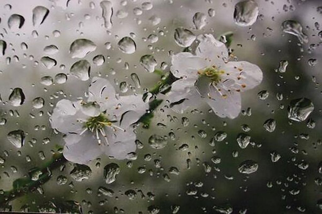 رگبار باران، رعد و برق و تند باد لحظه‌ای برای نقاط ساحلی هرمزگان پیش‌بینی‌ شد
