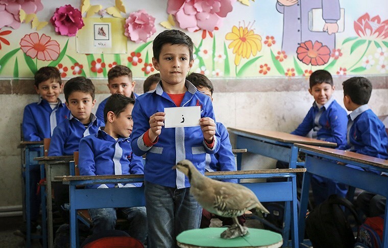 پیش بینی ثبت نام چهار هزار دانش آموز کلاس اولی در قشم
