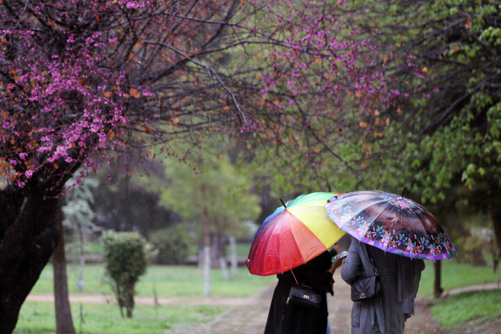 بارش پراکنده برای پاره ای از مناطق هرمزگان پیش بینی شد