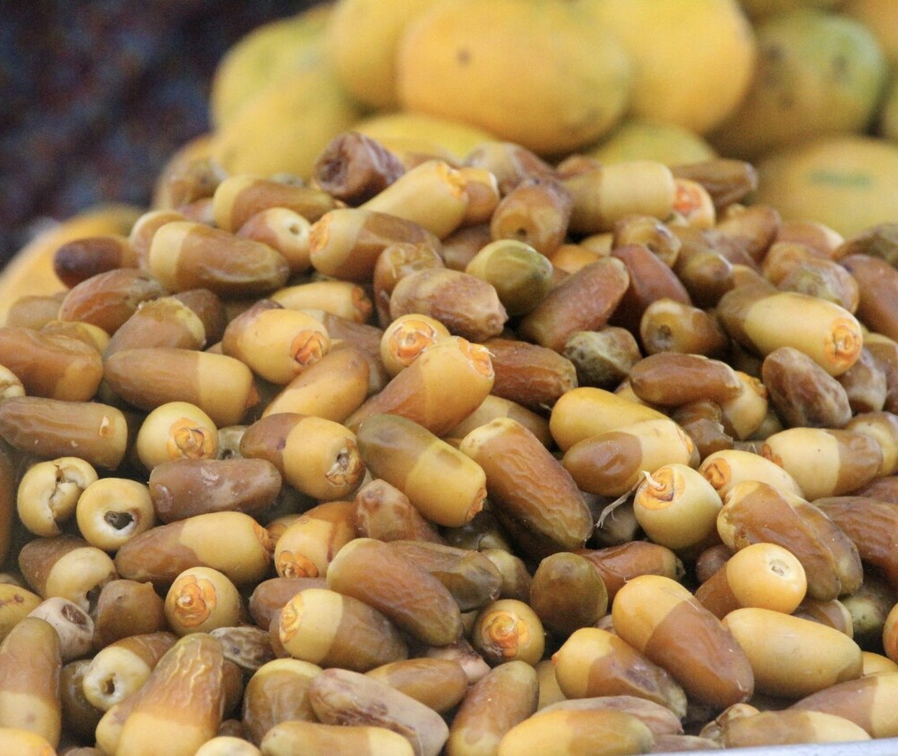 آغاز ششمین سرشماری کشاورزی در ۷۰ آبادی جزیره قشم 
